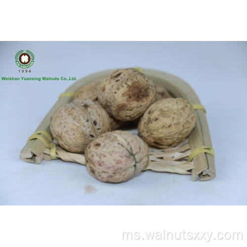Walnut di Shell 185#, 3.2cm+dari Yunnan